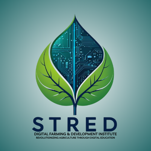 Stred Consult